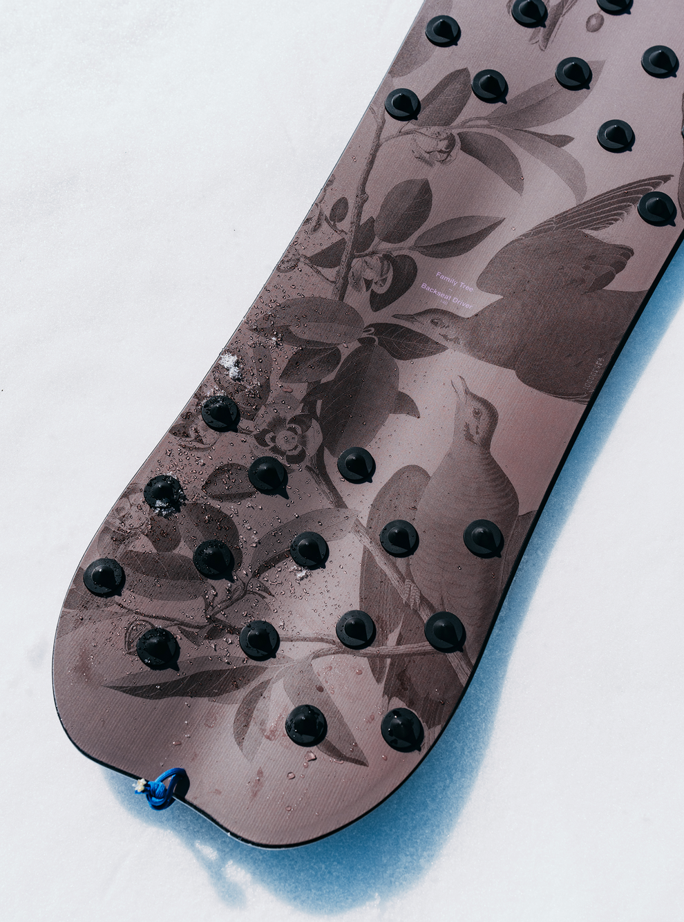 Burton Family Tree Backseat Driver 3