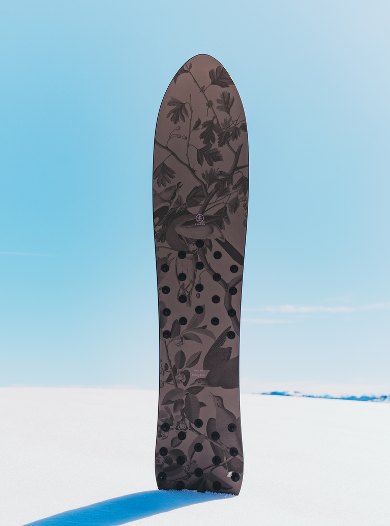 Burton Family Tree Backseat Driver