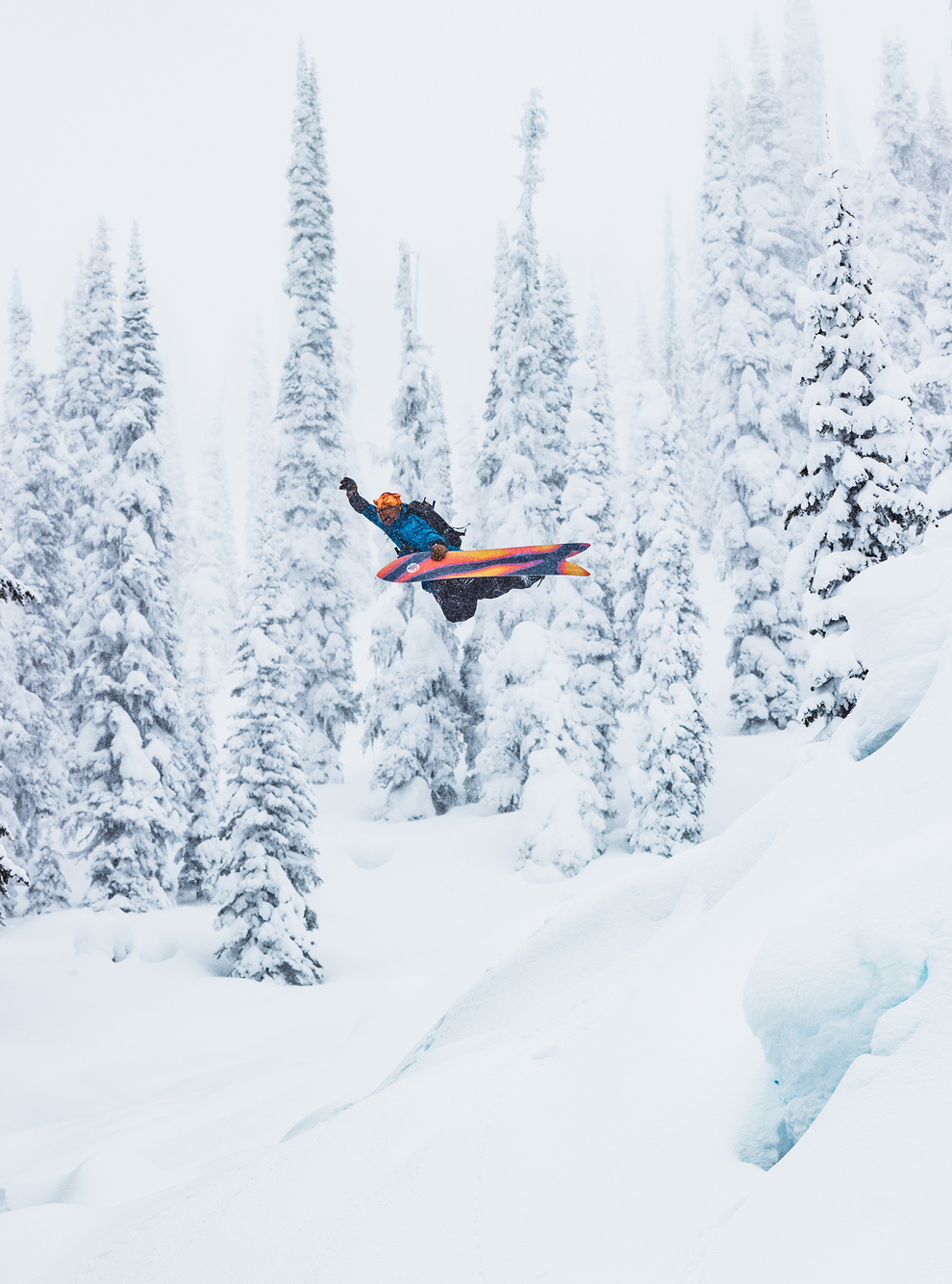 burton family tree smooth operator 3